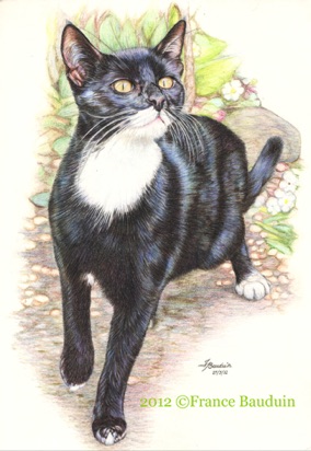 Teyla - 16 hours
White Cartridge Paper
11.5" x 8.2" Teyla - 16 hours
White Cartridge Paper
11.5" x 8.2"